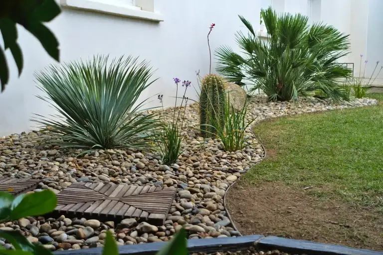 Achilléa Paysage expert en jardins secs