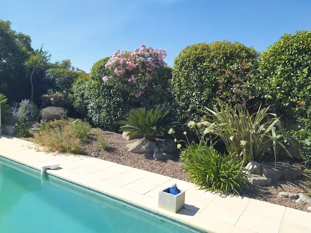 paysagiste jardin sec à Montpellier - réalisation Achillea Paysage