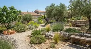 Paysagiste - jardin sec à Saint-Rémy-de-Provence