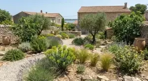 Paysagiste - jardin sec à Lattes