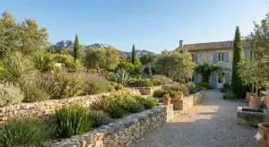 Paysagiste - jardin sec à Arles