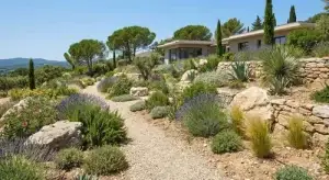 Paysagiste - jardin sec à Montferrier sur le lez