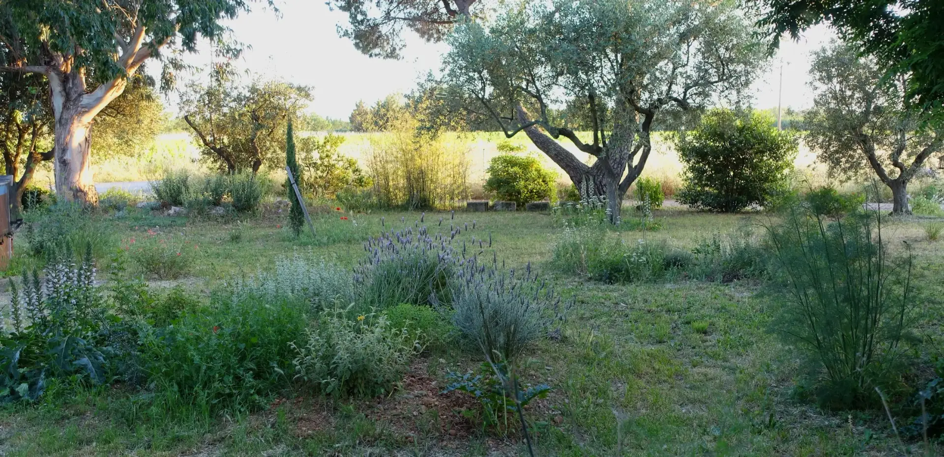 paysagiste jardin sec